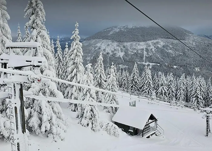 Fortuna 招待所 3*