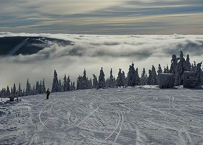 招待所 Fortuna 3*