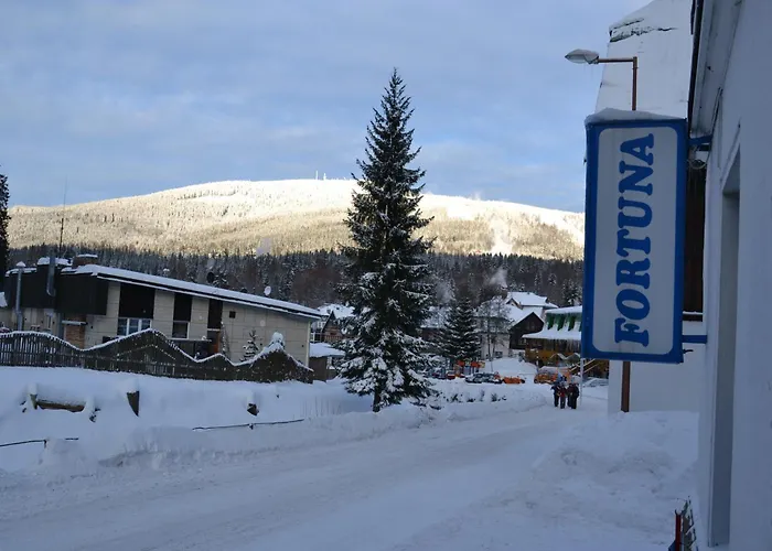 بيت ضيافة Fortuna